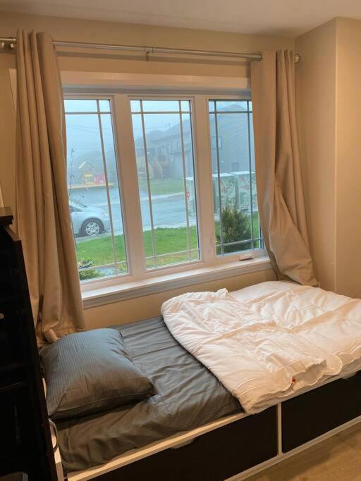 Studio Unit With Private Entrance, 2 Bed 1 Bath Appartement St. John's Buitenkant foto